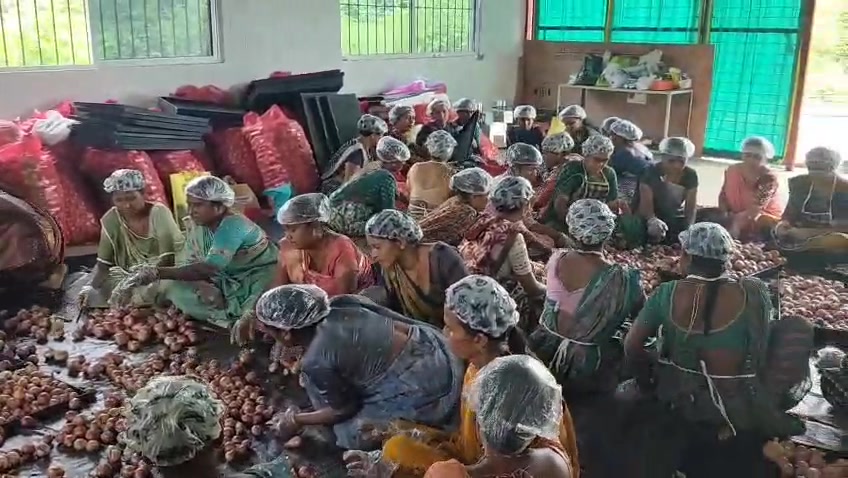 Women working together to sort fresh produce