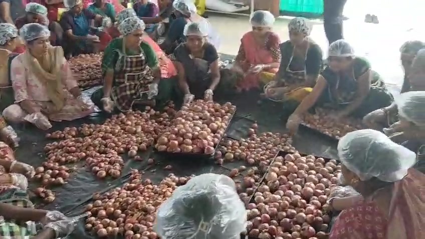 Village women sorting onions as a team